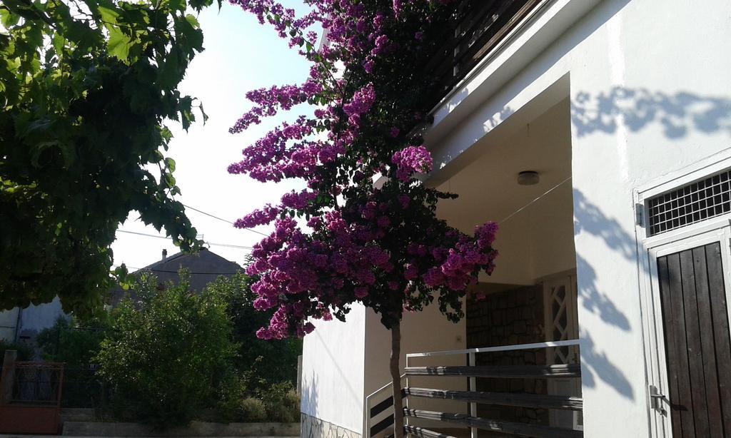 Apartment Anna Zadar Eksteriør bilde